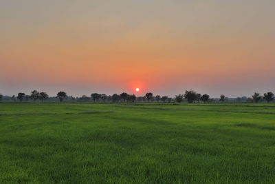 Scenic view of field against sky during sunset