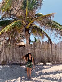 Woman standing against palm tree at beach