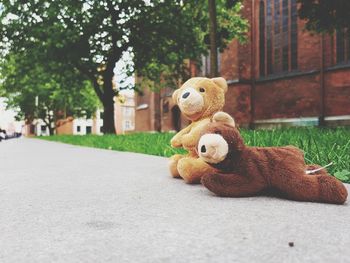 Close-up of stuffed toy on road