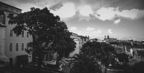 Trees and buildings in city against sky