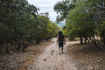 Rear view of woman walking on footpath amidst trees