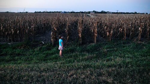 Rear view of woman in field