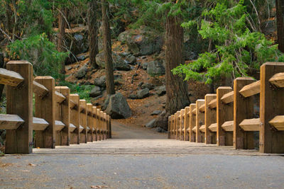 Footpath amidst trees in forest