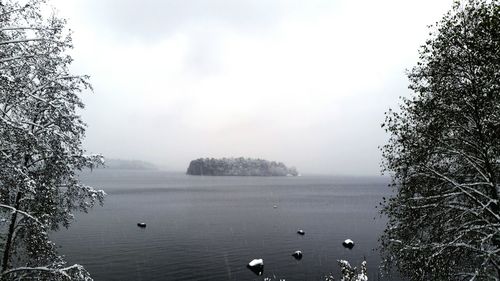 Swan on lake against sky