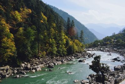 Scenic view of river in forest against sky