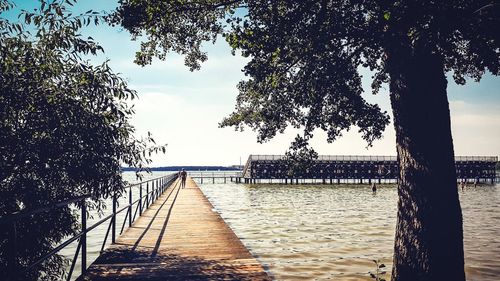 Pier amidst trees against sky