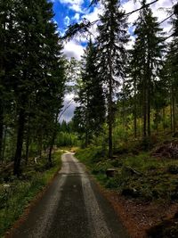 Road amidst trees in forest against sky