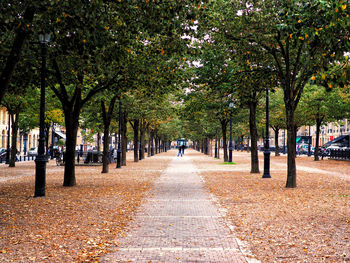 Footpath amidst trees in park during autumn