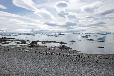 Scenic view of sea against sky