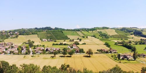 Scenic view of agricultural field against clear sky during sunny day