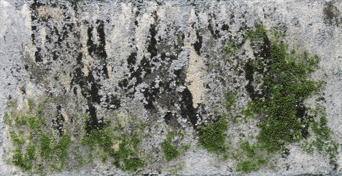 Full frame shot of rock on wall