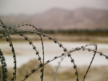 Close-up of barbed wire fence on military airfield