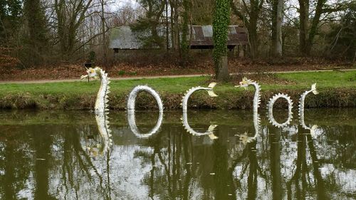 View of birds in the lake