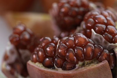 Close-up of pomegranate