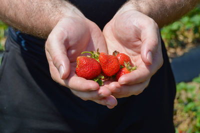 Midsection of man holding strawberry