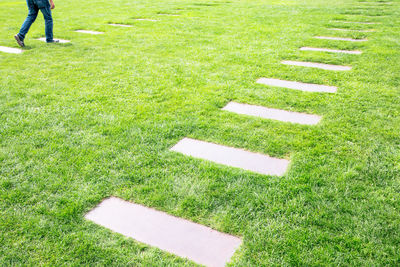 High angle view of people on grassy field