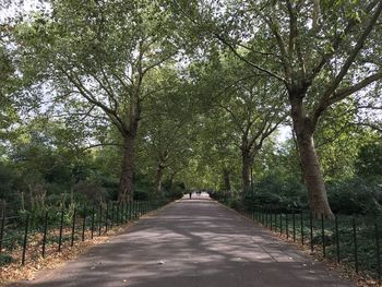 Road amidst trees in forest