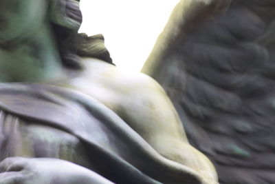 Close-up of statue