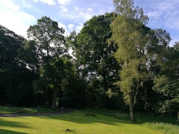 Scenic view of grassy field against sky