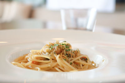 Close-up of noodles in plate