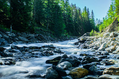 Stream flowing through rocks in forest