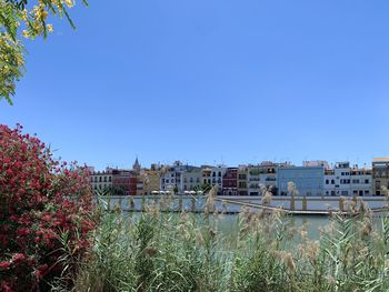 Buildings against clear blue sky