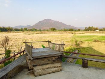 Scenic view of agricultural field against clear sky