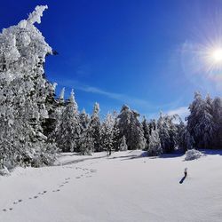 Scenic view of snow covered landscape against blue sky