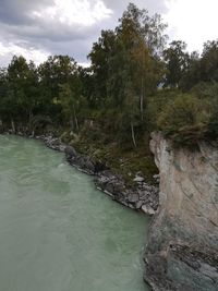 Scenic view of river amidst trees in forest against sky