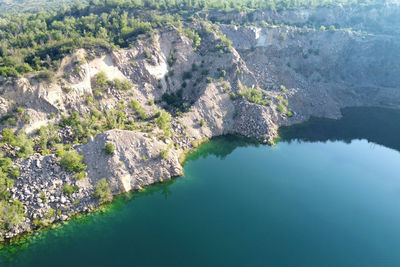 High angle view of lake amidst plants