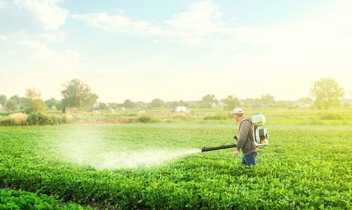 A farmer with a mist blower sprayer walks through the potato plantation. 