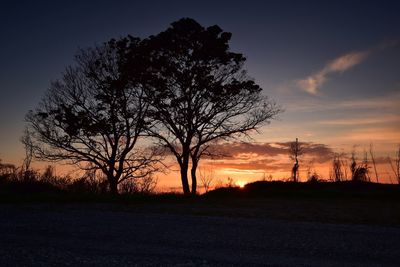 Silhouette bare tree on field against sky during sunset