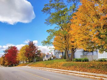 Trees by road against sky during autumn