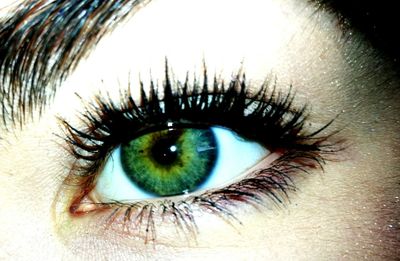 human eye