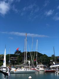 Sailboats moored at harbor against blue sky