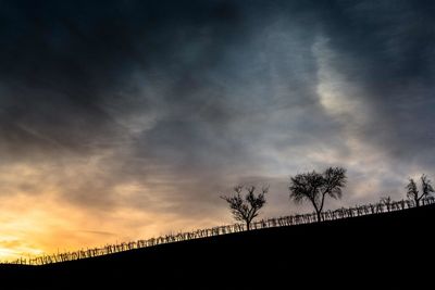 Silhouette of trees against cloudy sky