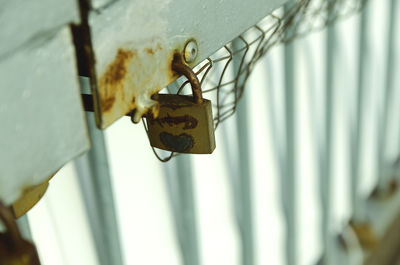 Close-up of padlocks on metal railing