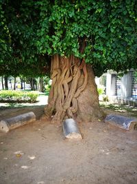 Statue against trees