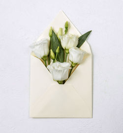 Directly above shot of white roses in plate on table