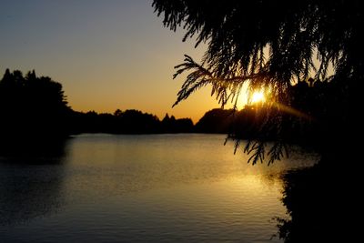 Silhouette trees by lake against sky during sunset