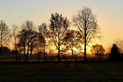 Silhouette bare trees on field against sky during sunset