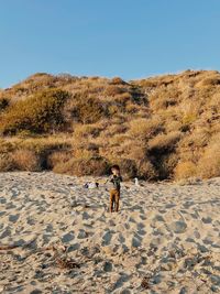 Dog on land against sky