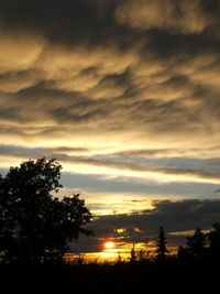 Silhouette of trees against cloudy sky at sunset