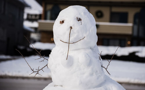 Close-up of snowman