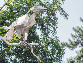 Low angle view of bird perching on tree against sky
