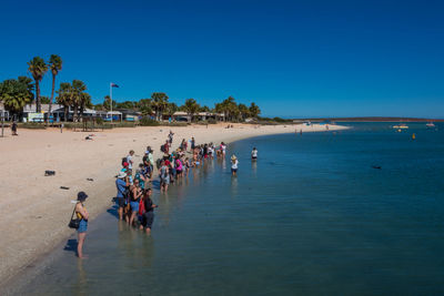 Tourist at monkey mia, western australia