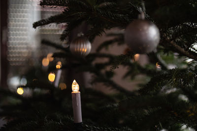 Close-up of illuminated christmas tree