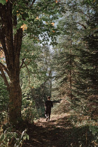 Rear view of man walking in forest