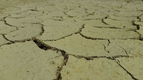 Full frame shot of cracked land