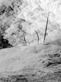 High angle view of frozen trees on land